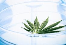 Malta Enterprise announces first Malta Medical Cannabis Symposium