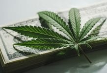New UK fractional cannabis investment platform launched