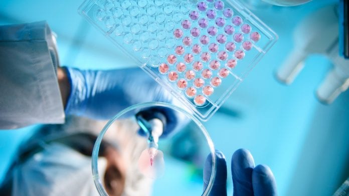 European awards programme offers funding to accelerate cancer research