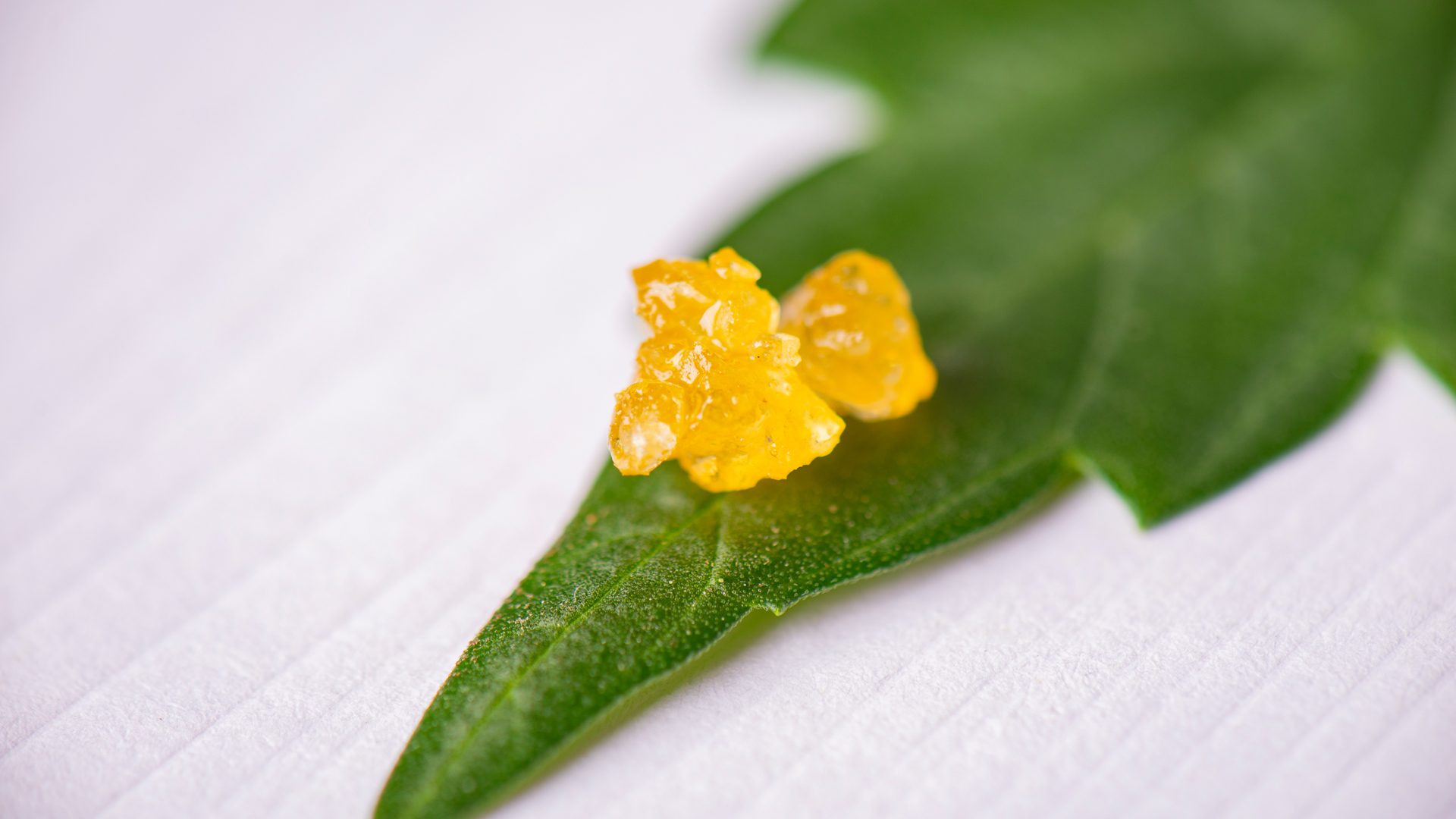 PURE5 extraction: new trends in cannabis oil production