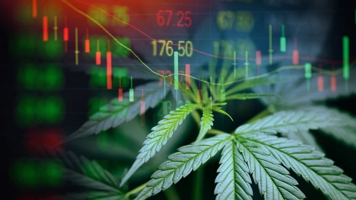 Garnier & Co investing in cannabis: driving the growth of Europe’s industry