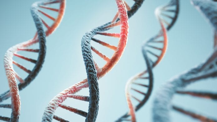 © iStock/anusorn nakdee Mitchell disease: solving the medical mystery