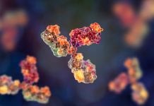 New technique and AI could speed up antibody drug discovery