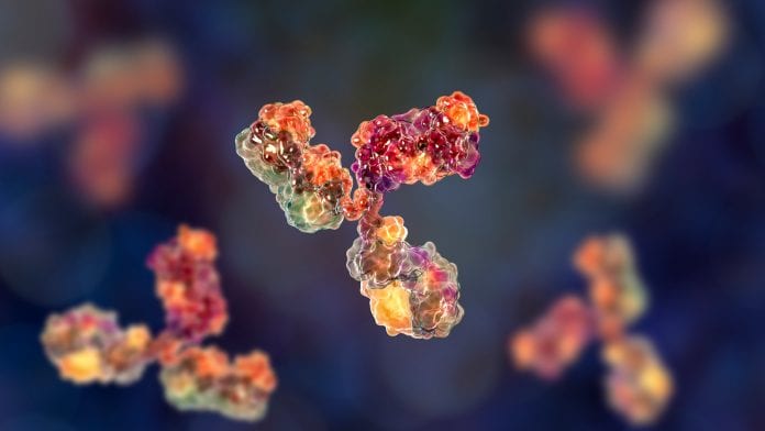 New technique and AI could speed up antibody drug discovery