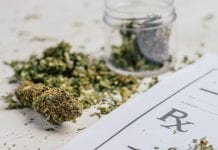 New Zealand’s Medical Cannabis Scheme now launched
