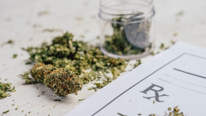 New Zealand’s Medical Cannabis Scheme now launched