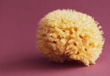 Pre-clinical study finds sponge molecule exhibits anti-cancer properties