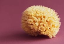 Pre-clinical study finds sponge molecule exhibits anti-cancer properties Pre-clinical study finds sponge molecule exhibits anti-cancer properties