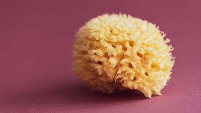 Pre-clinical study finds sponge molecule exhibits anti-cancer properties