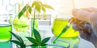 NCCIH Deputy Director on cannabis research, safety concerns and policy