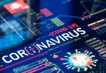 COVID-19 research may be on the horizon with the help of Cerebriu COVID-19 research may be on the horizon with the help of Cerebriu