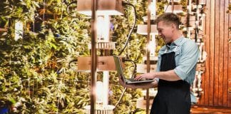 Benefits and challenges of recruiting in the cannabis industry
