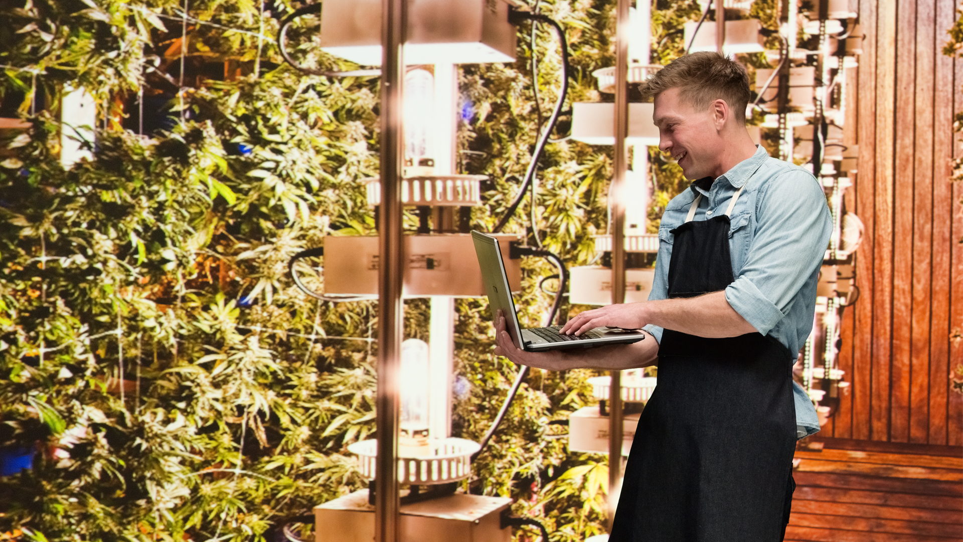 Benefits and challenges of recruiting in the cannabis industry