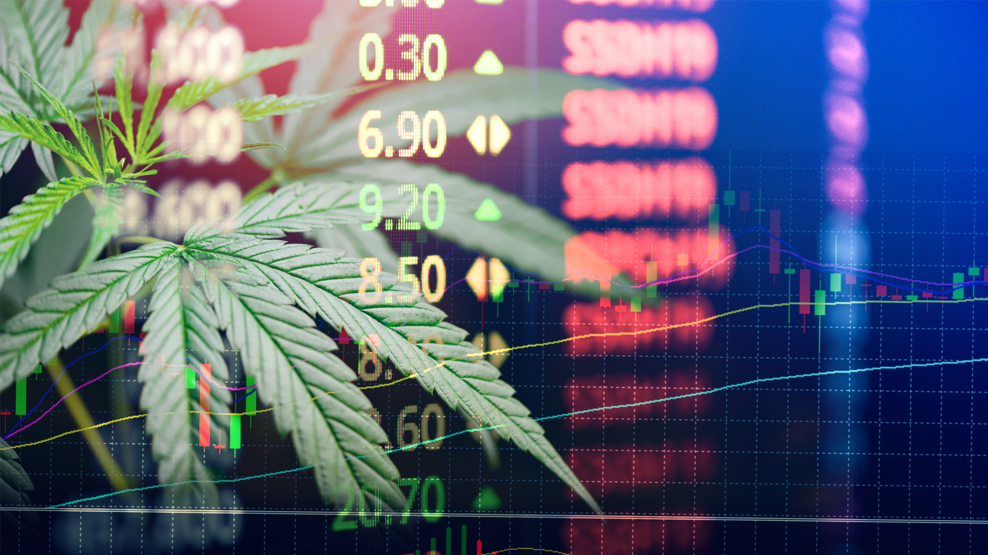 ICBC San Francisco: Alan Brochstein on cannabis investment