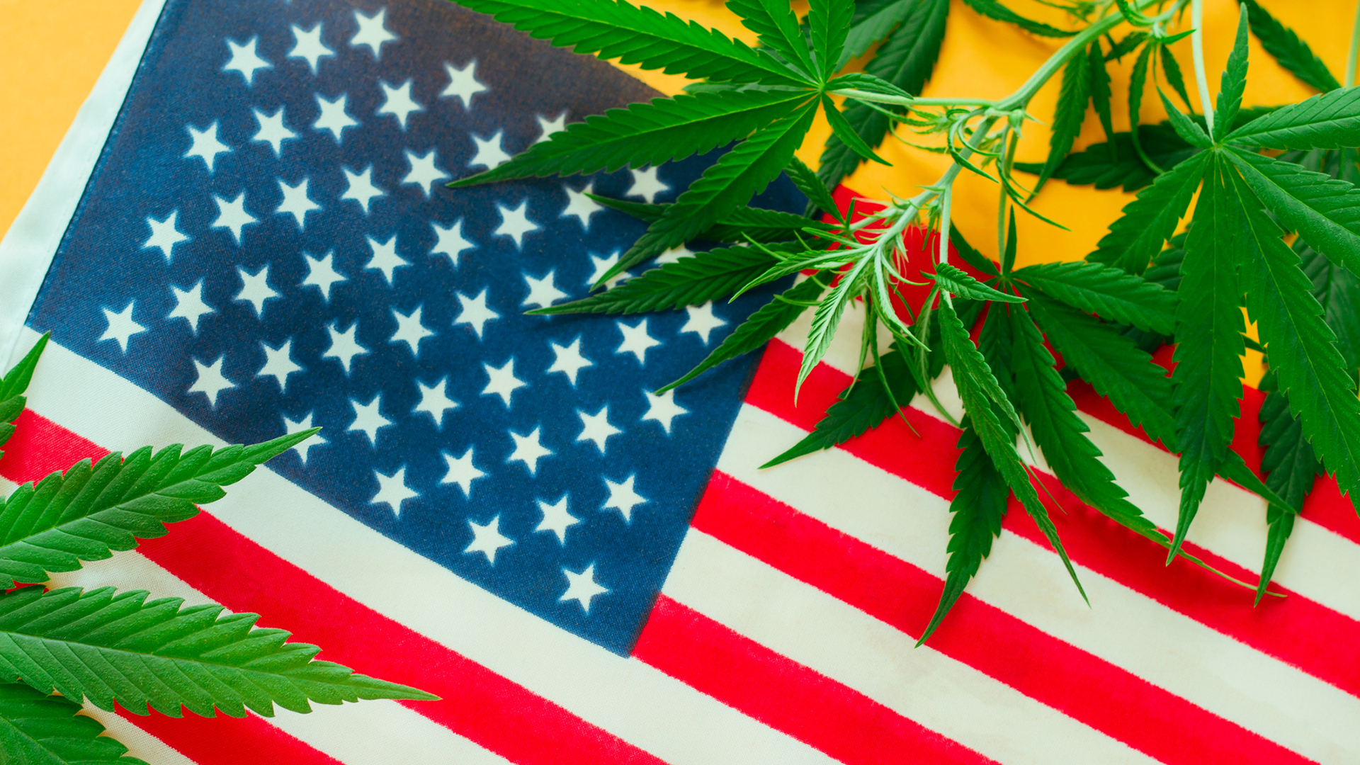 Dana Rohrabacher discusses federal cannabis legalisation nationwide