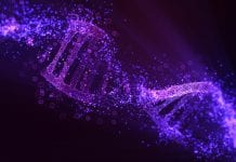 AI precision medicine mining finds 13 human COVID-19 risk genes