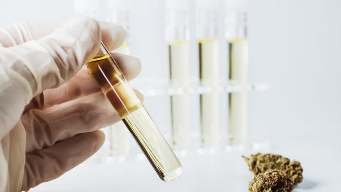 ACI Lays foundation for harmonisation of cannabinoid testing