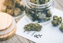 Medical cannabis advocates join forces to improve patient access