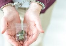 The Last Prisoner Project: release prisoners with cannabis convictions