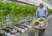 Khiron Life Sciences: expanding into Europe with patient focus Khiron Life Sciences: expanding into Europe with patient focus