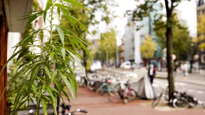 Shipping medical cannabis: a Dutch perspective