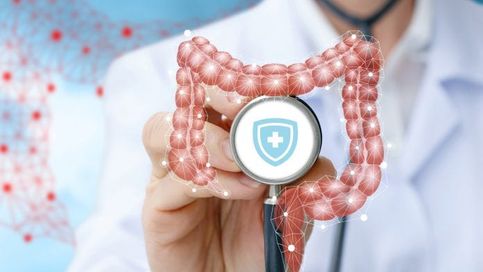 iStock-Natali_Mis Ultra-processed foods: an EU health crisis