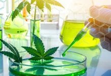 EUMCA calls for reduction of lower THC limit in German cannabis extracts