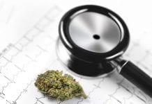 A 500-day journey prescribing medicinal cannabis in Australia