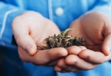 Evidence still unclear on whether cannabis affects risk of stroke Evidence still unclear on whether cannabis affects risk of stroke