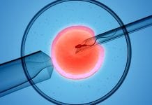 Incubating innovation: developments in IVF and reproductive science