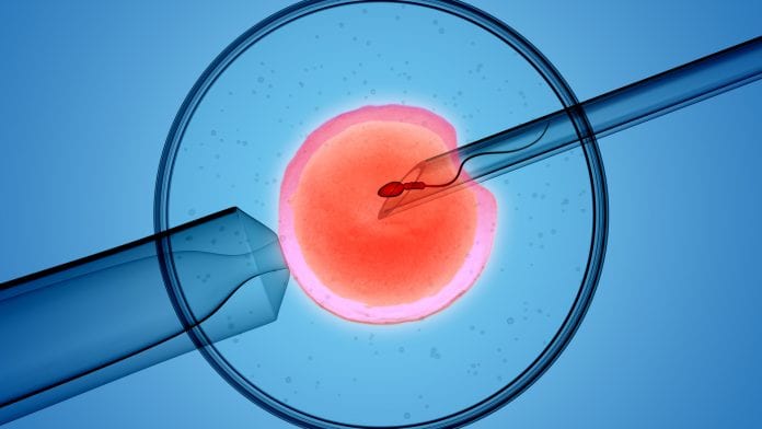 Incubating innovation: developments in IVF and reproductive science