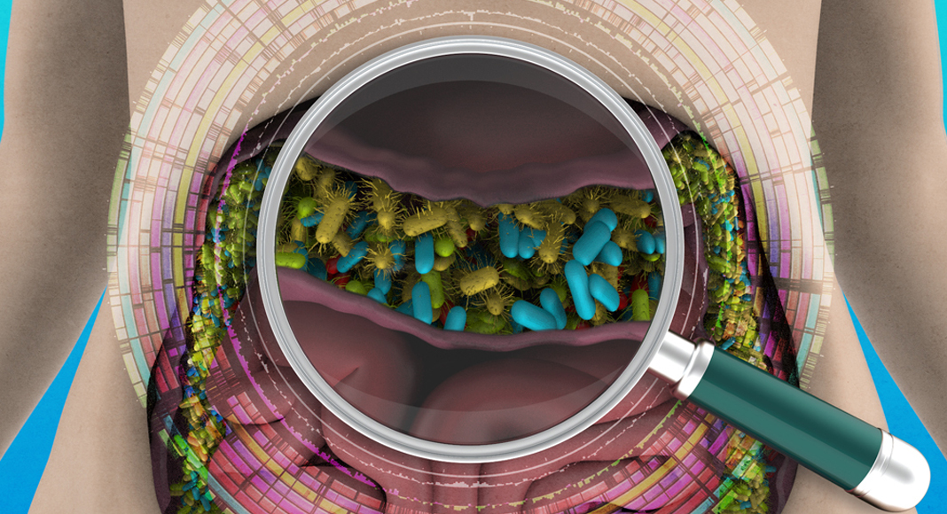 Unparalleled inventory of the human gut ecosystem