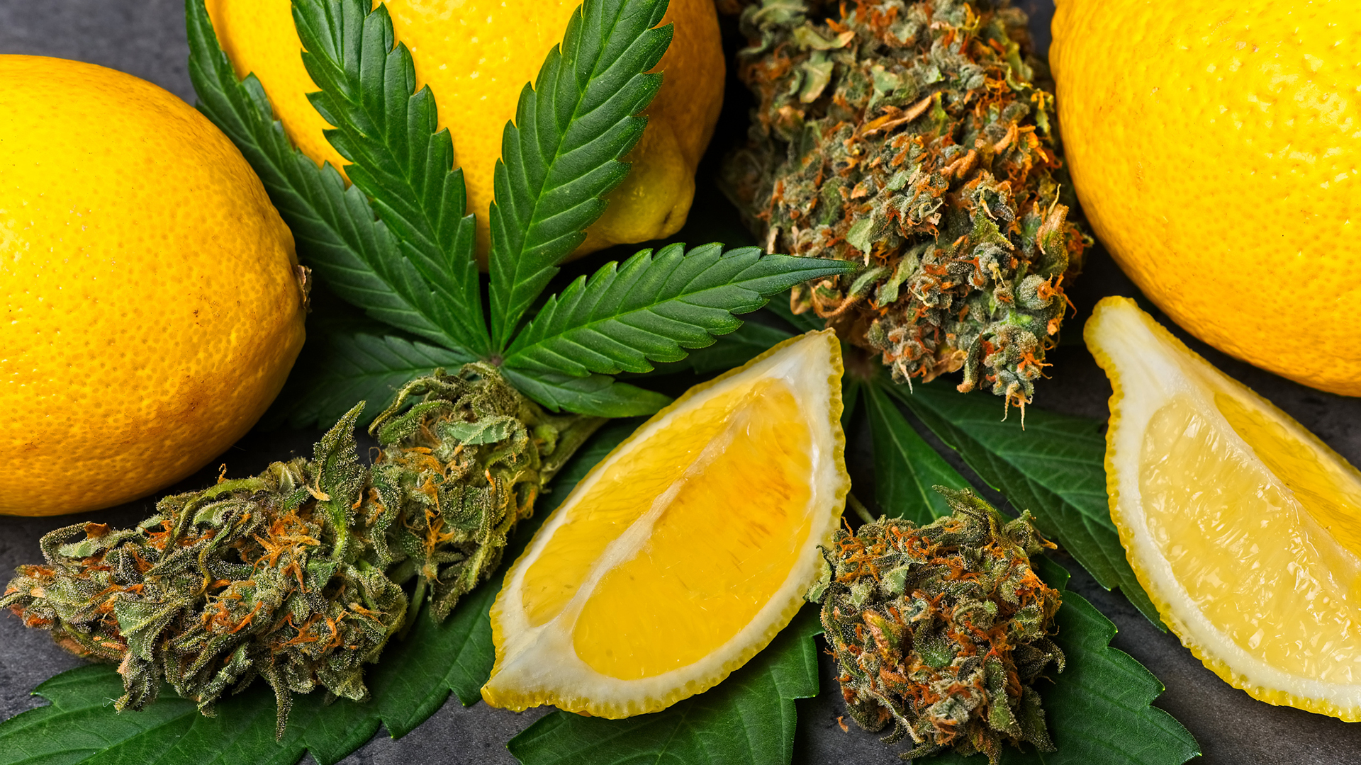 Understanding terpenes with Pure5 Extraction
