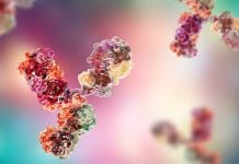 Flaccid myelitis: researchers identify antibodies for rare children’s disease Flaccid myelitis: researchers identify antibodies for rare children’s disease