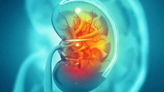 Farxiga meets endpoints in trial for the treatment of chronic kidney disease
