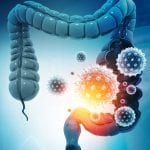 Chronic digestive diseases: gut microbiome and healthy nutrition