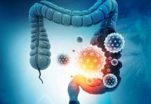 Chronic digestive diseases: gut microbiome and healthy nutrition