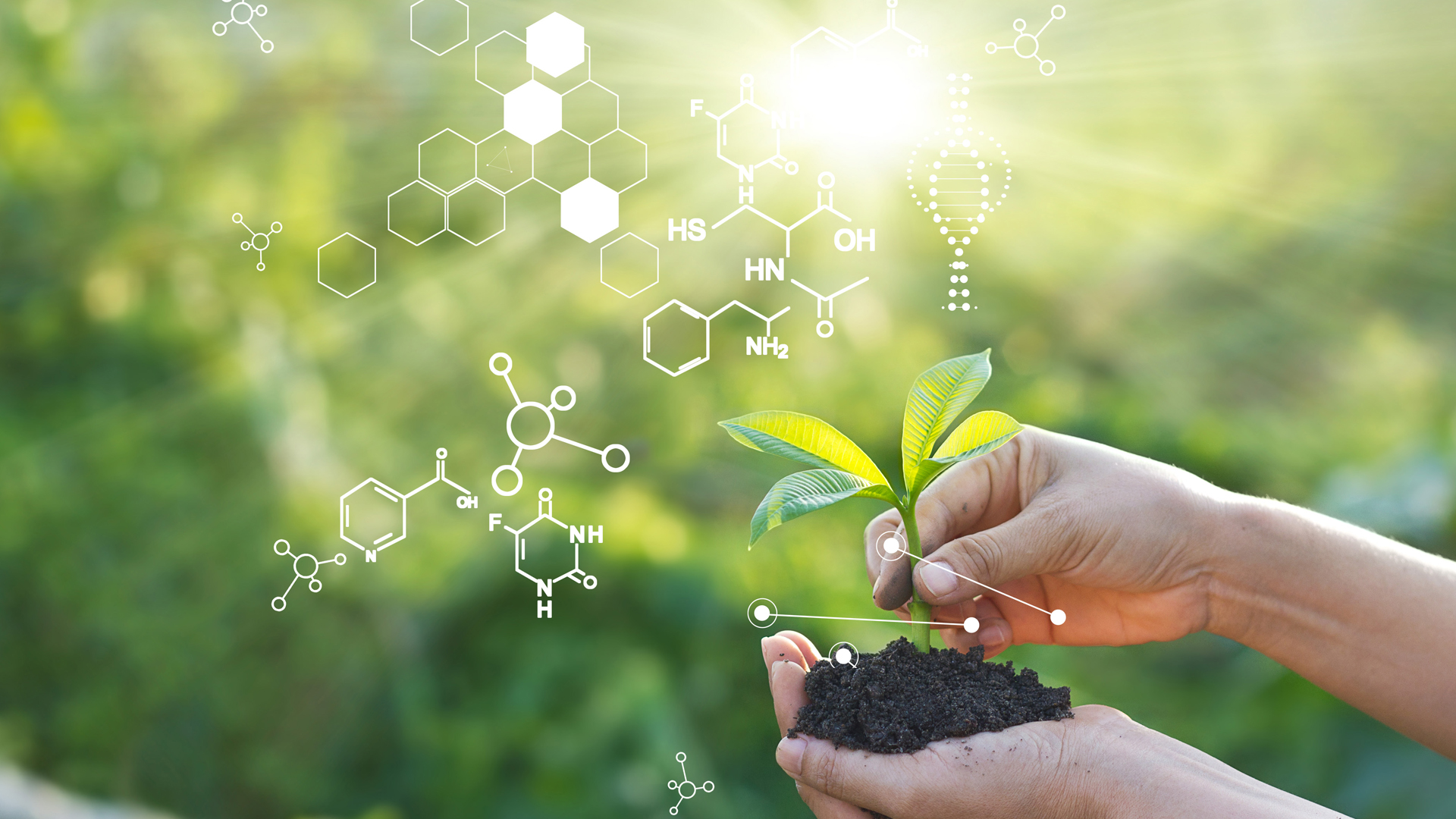 Gut health: “You need to introduce a systemic change”