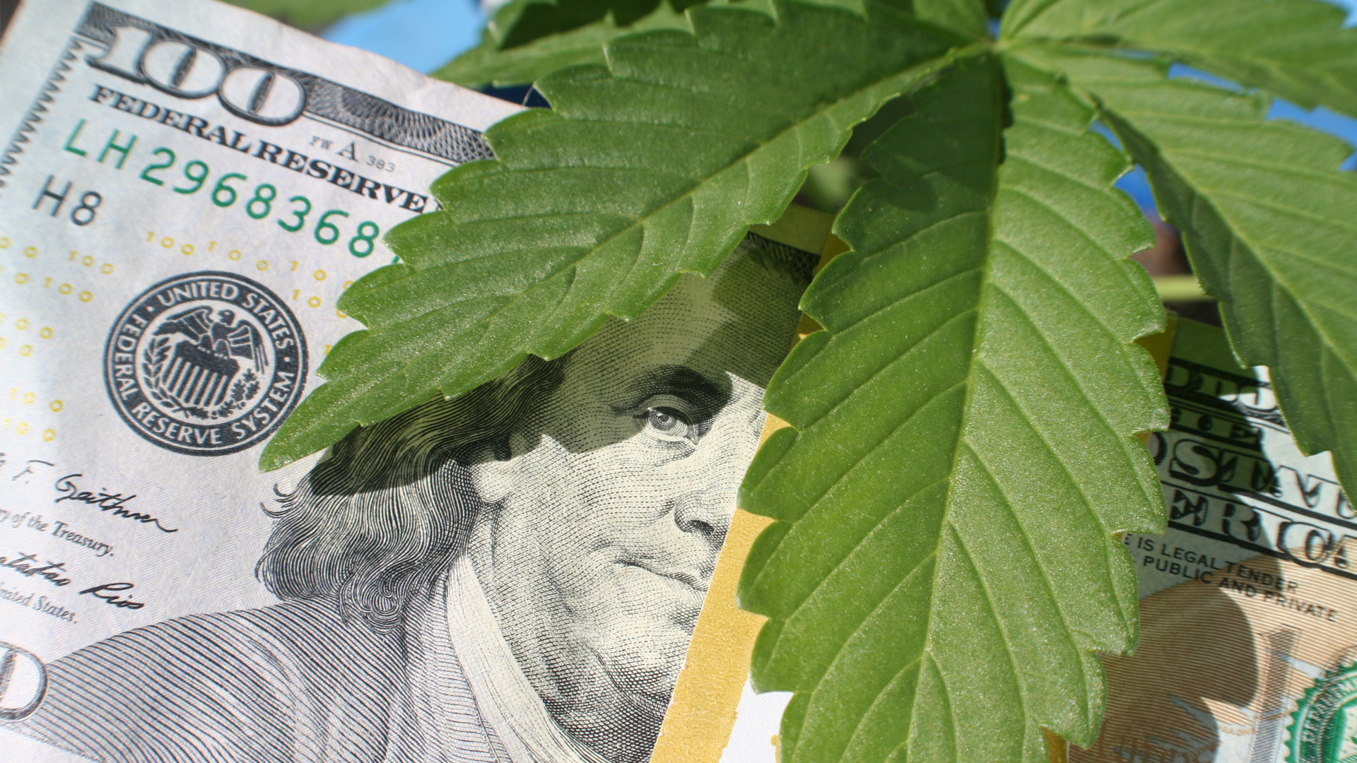 The evolution of cannabis in the US