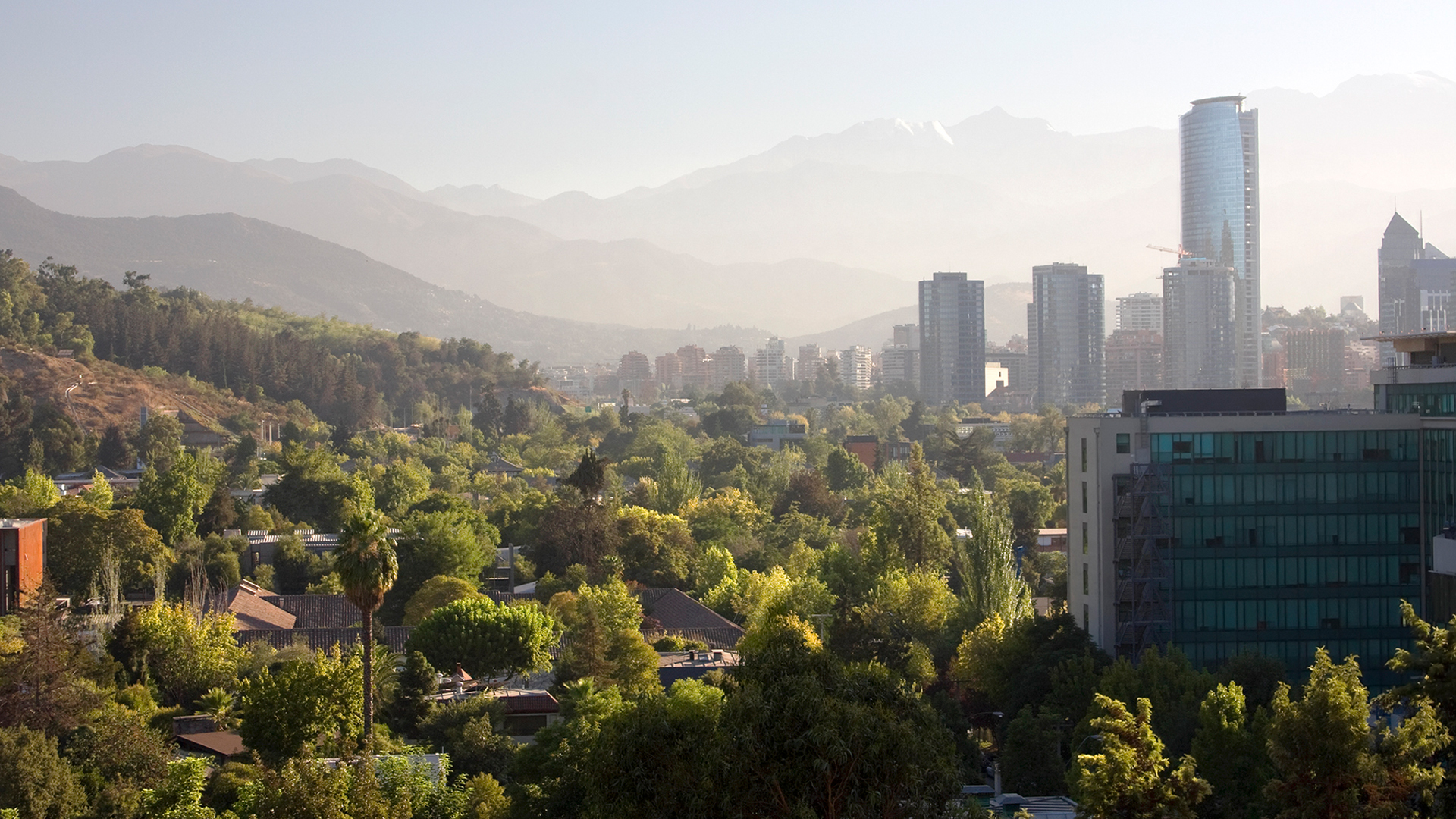 Cannabis culture: a Latin American perspective