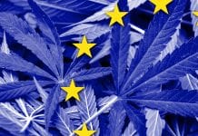 Education and regulation for the EU cannabis market