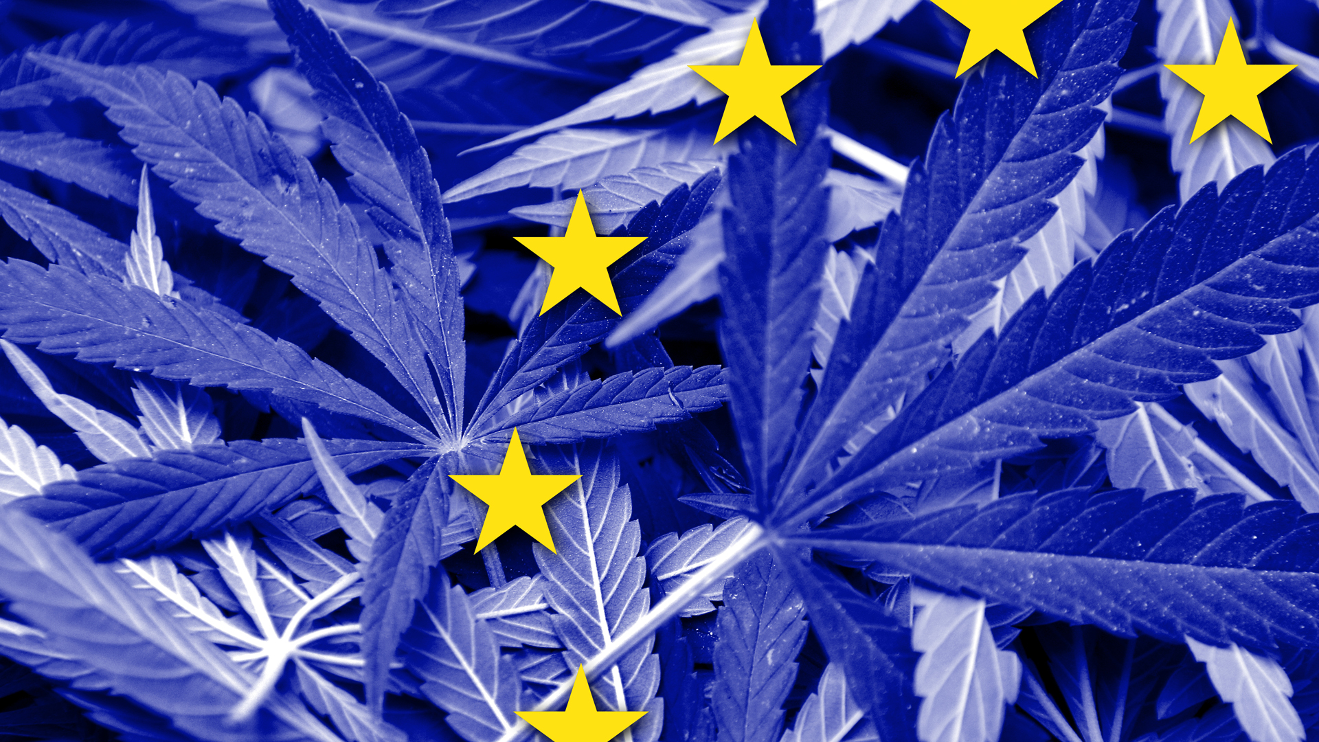 Education and regulation for the EU cannabis market