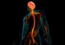 Innovation, technology, and evidence-based treatment for spinal cord injury