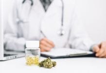 Project Twenty21: Europe’s largest medical cannabis registry goes live