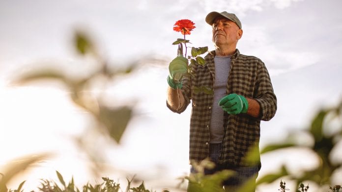 iStock-FluxFactory £5m to tackle loneliness, improve wellbeing and recovery from COVID-19