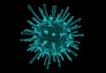 Global hackathon launched for COVID-19 technology solutions Global hackathon launched for COVID-19 technology solutions