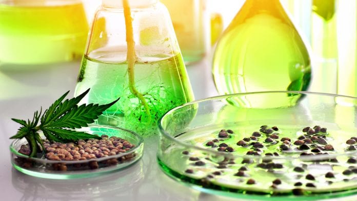 iStock-UrosPoteko Cannabinoid therapies aim to address unmet medical needs