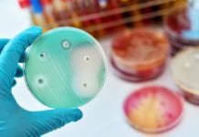 New way to increase antimicrobial sensitivity discovered