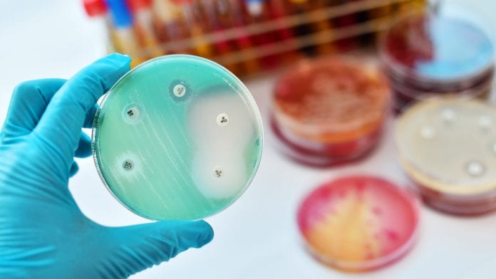 New way to increase antimicrobial sensitivity discovered