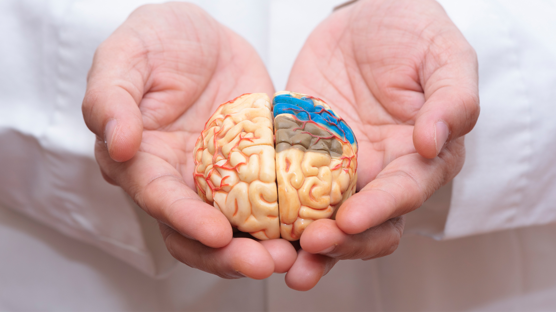 Prion disease: potential treatment discovered by researchers